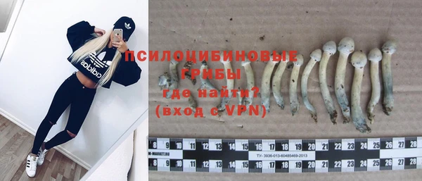 герыч Медвежьегорск