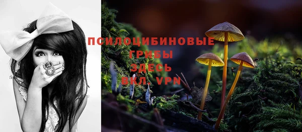бошки Михайловка